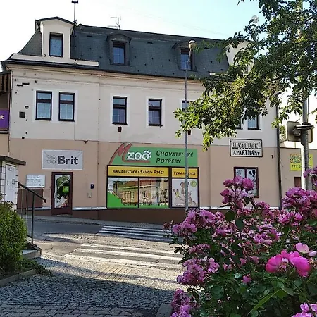 Apartmany Ledec Ledec nad Sazavou Exterior photo