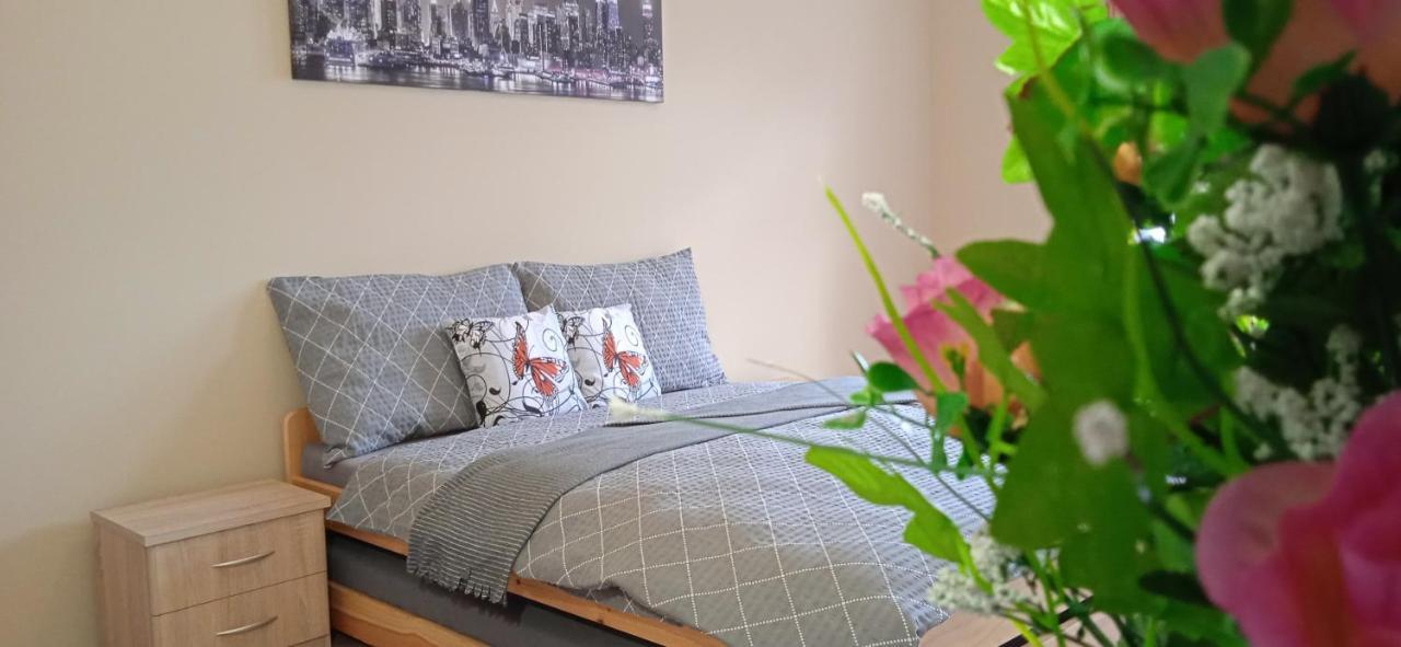 Appartement Ledec *
