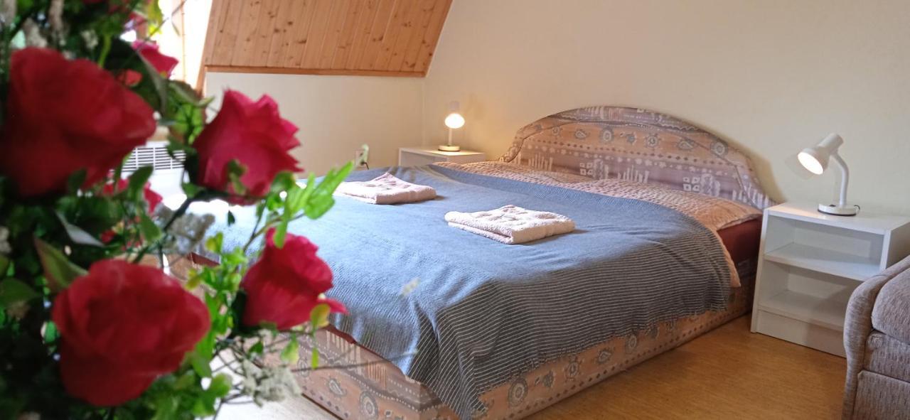 Apartment Ledec