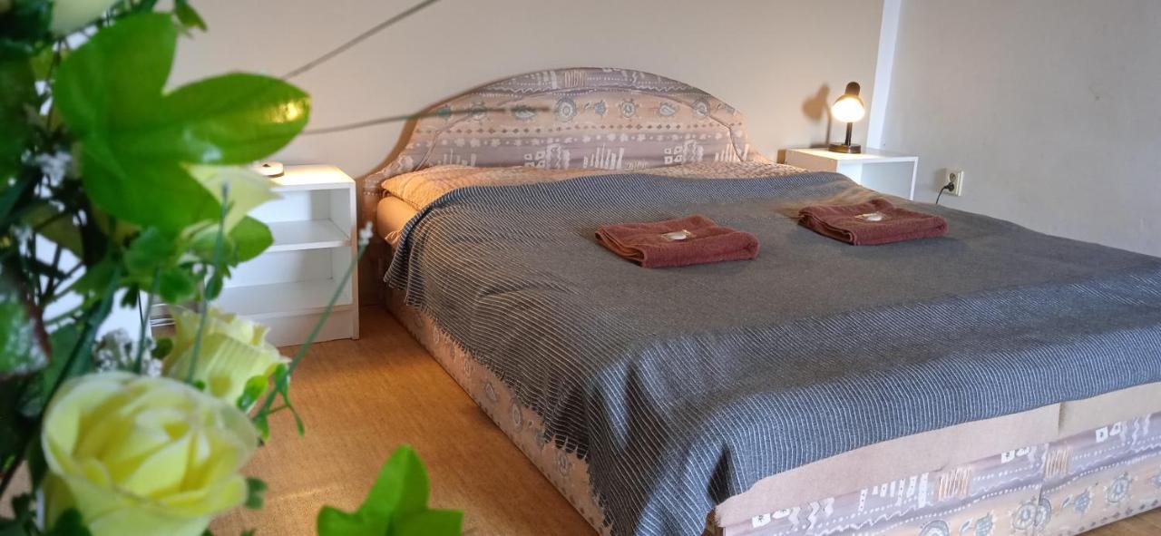 Ledec Apartment