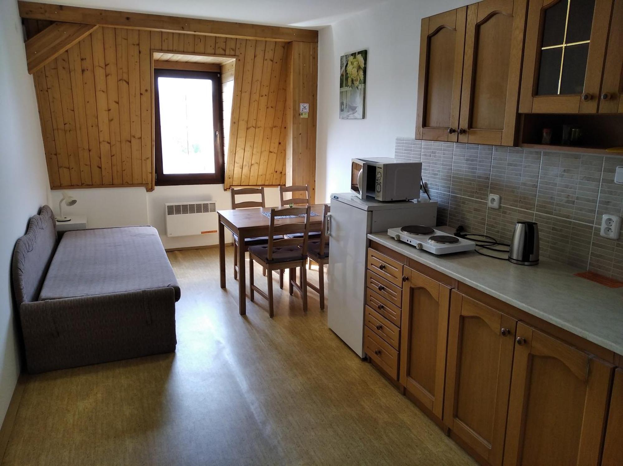 Ledec Apartment
