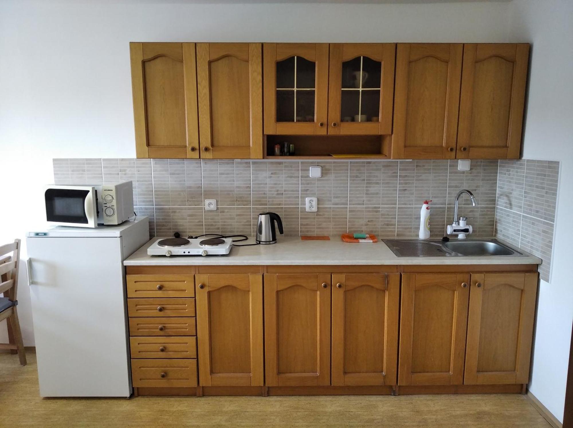 Apartment Ledec